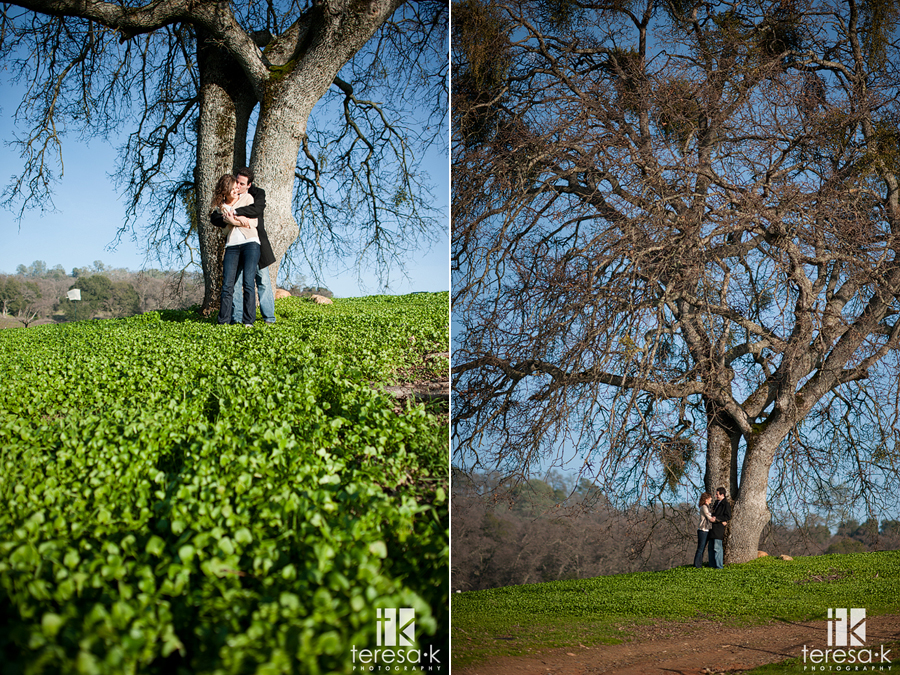 Mother lode winery engagement session at Montevina winery in Amador county.