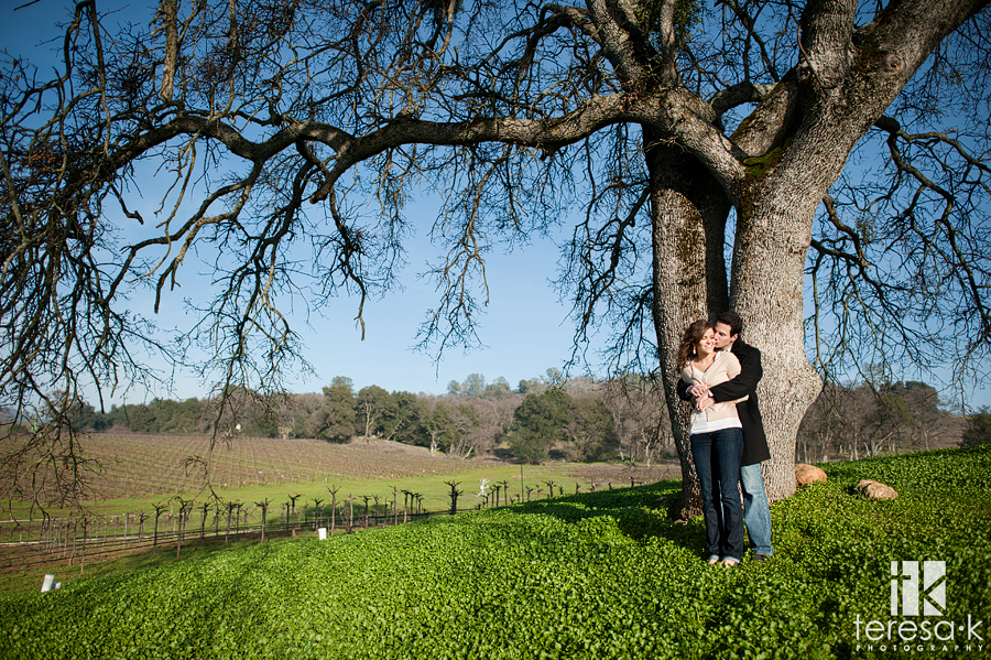 Amador county winery engagement session at Terra d'Oro winery in Amador county.