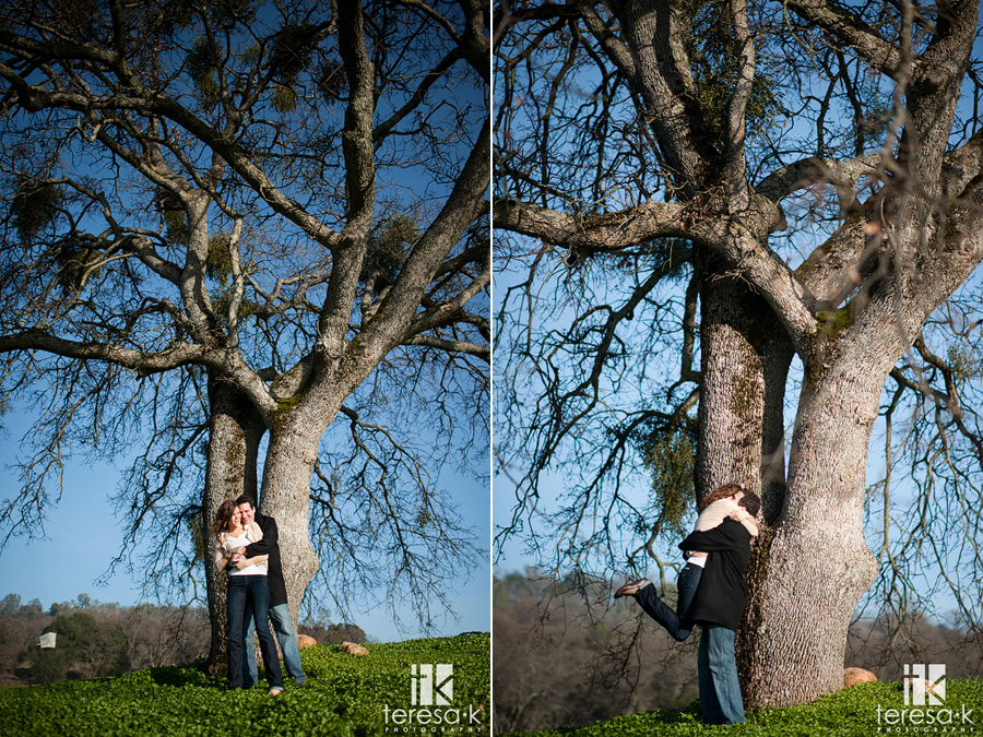  Mother lode county winery engagement session at Montevina winery in Amador county.