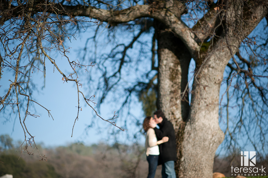  Amador county winery engagement session at Terra d'Oro winery in Amador county
