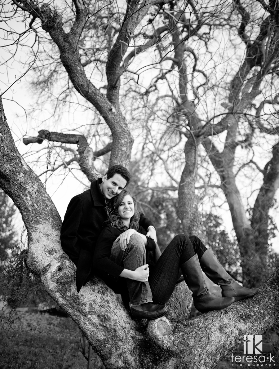 Amador county winery engagement session at Montevina winery in Amador county.