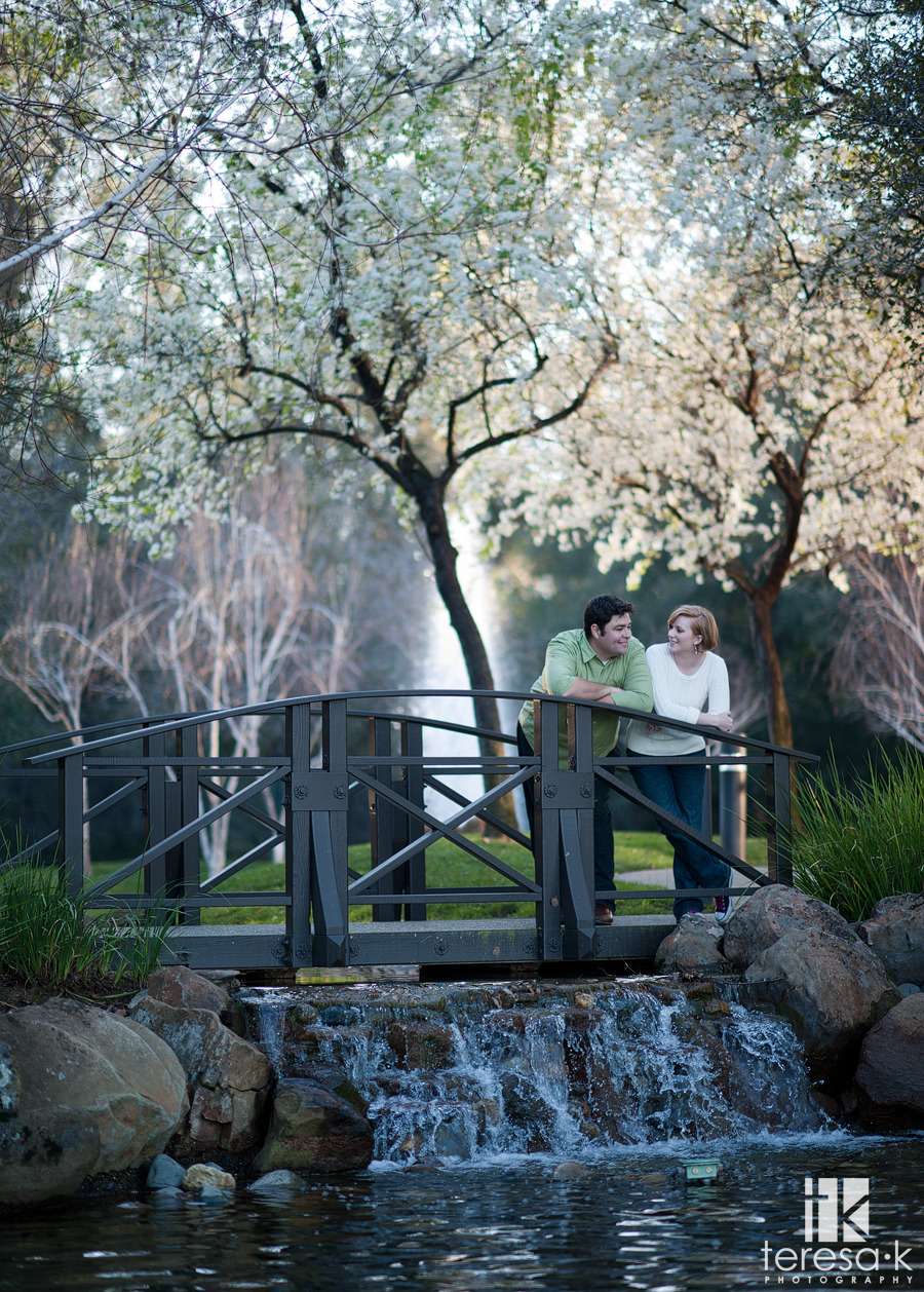  engagement session with spring tress in bloom on Folsom California by Folsom wedding photographer, Teresa K photography 