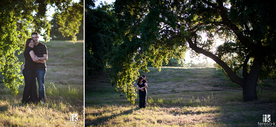 outdoor engagement photo under a tree in beautiful afternoon light