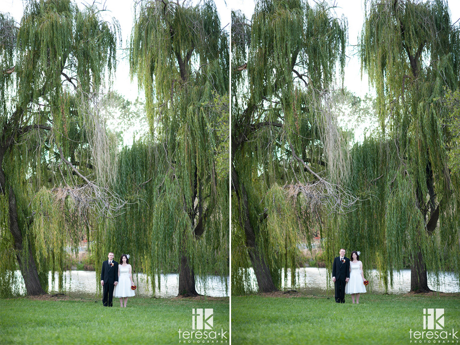 weeping willow wedding portraits