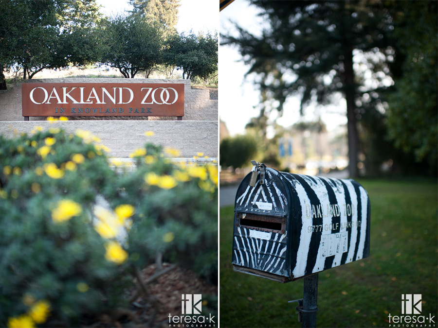 images of the front of the Oakland zoo