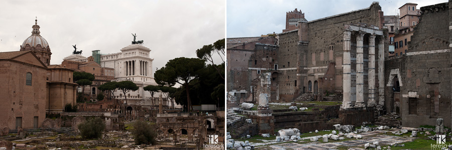 the roman forum in Rome Italy