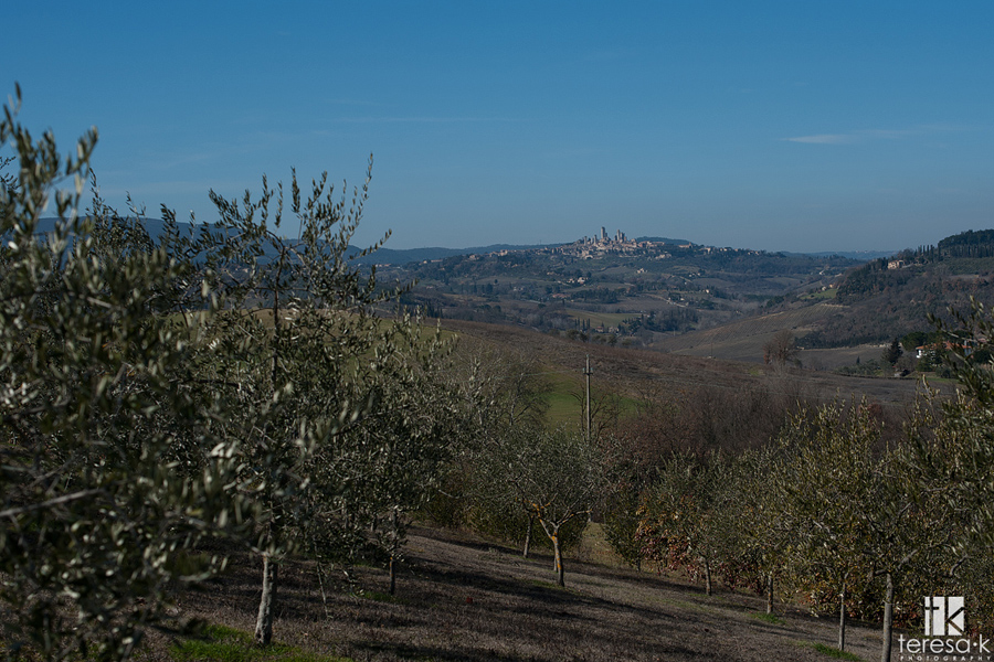 San Gimignano on the hillside