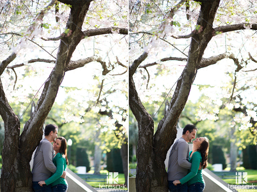 spring engagement in downtown Sacramento