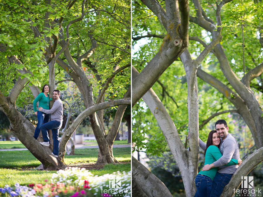engagement pictures with trees