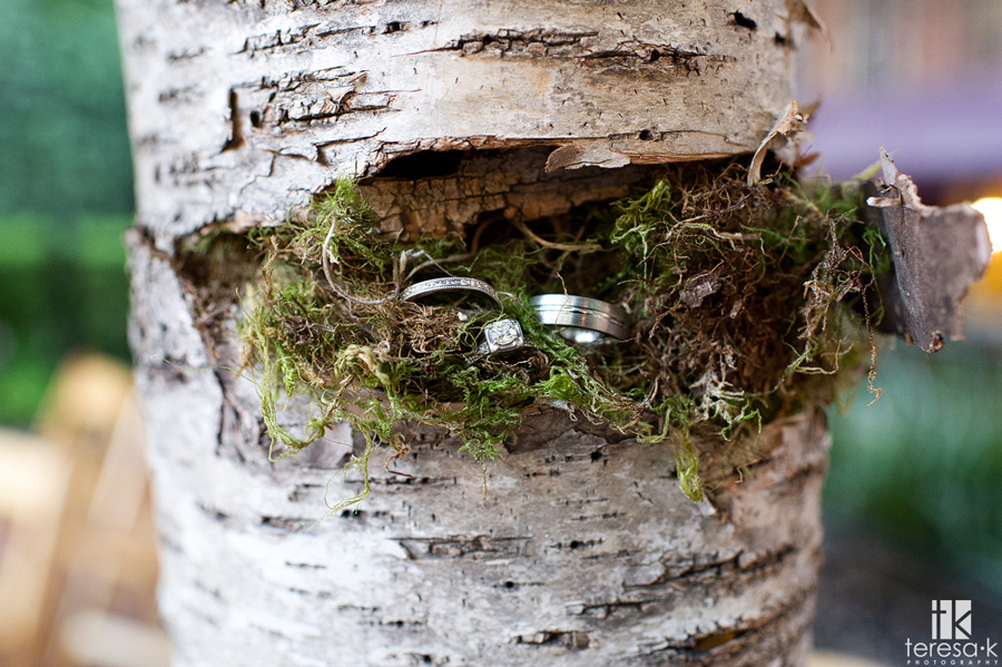 creative ring picture in nature