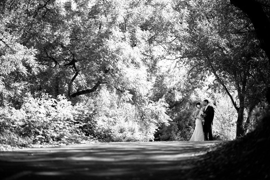 Sacramento Wedding Photographers Best of Review 119