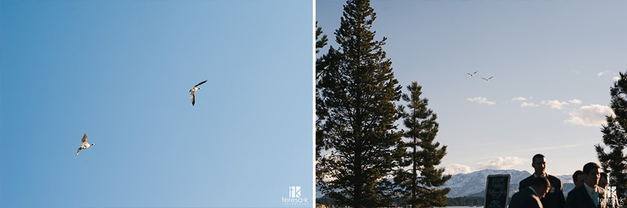 Edgewood-Lake-Tahoe-Wedding-Images-40
