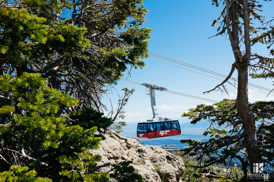 the tram to the top of Jackson hole