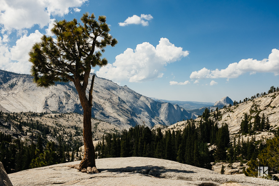 Folsom-to-Yosemite-9